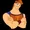 hercules inu
