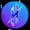 hixe network