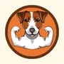 jack coin