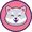 kishu the dog