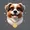kogata inu