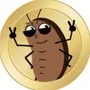 kokok the roach
