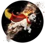 krypto crypto