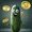 larrycucoinmber