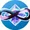 limitless network