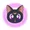 luna cat