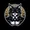 main moon cat