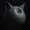 meowstar