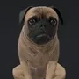 mudpug