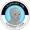non-playable coin