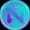 nui network