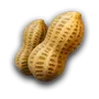 nuts