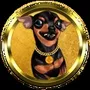 pinscher coin