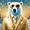 polarbear x