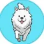 poodlecoin