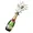 $popchampagne coin
