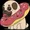 pugcoin