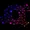 quantum flow