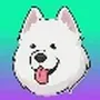 samoyed coin