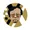 satoshi x nakamoto