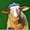 sheep wif hat