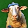 sheep wif hat