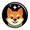 shiba galaxy