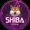 shiba storm