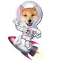 shibastar