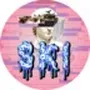 skibidi coin