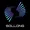 sollong coin