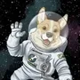 space corgi
