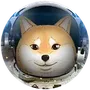space doge coin
