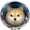space doge coin