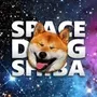 spacedogshiba