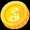spider coin