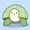 summer turt