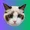 taylor swift’s cat
