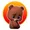 teddy