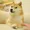 the doge nft