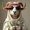 the eid sheep