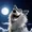 thewolfpack