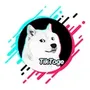 tiktoge