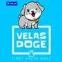 velas doge