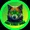 wall street shiba