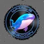 whale big coin