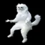 what the fuck cat