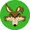 wily coyote
