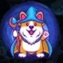wizard doge