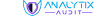 audit company img